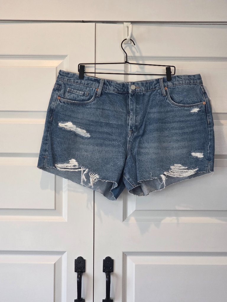 Nwt: Blank Nyc The Barrow Vintage High Rise Denim Shorts Size: 20w